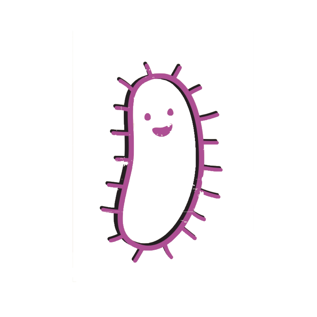 Bacteria
